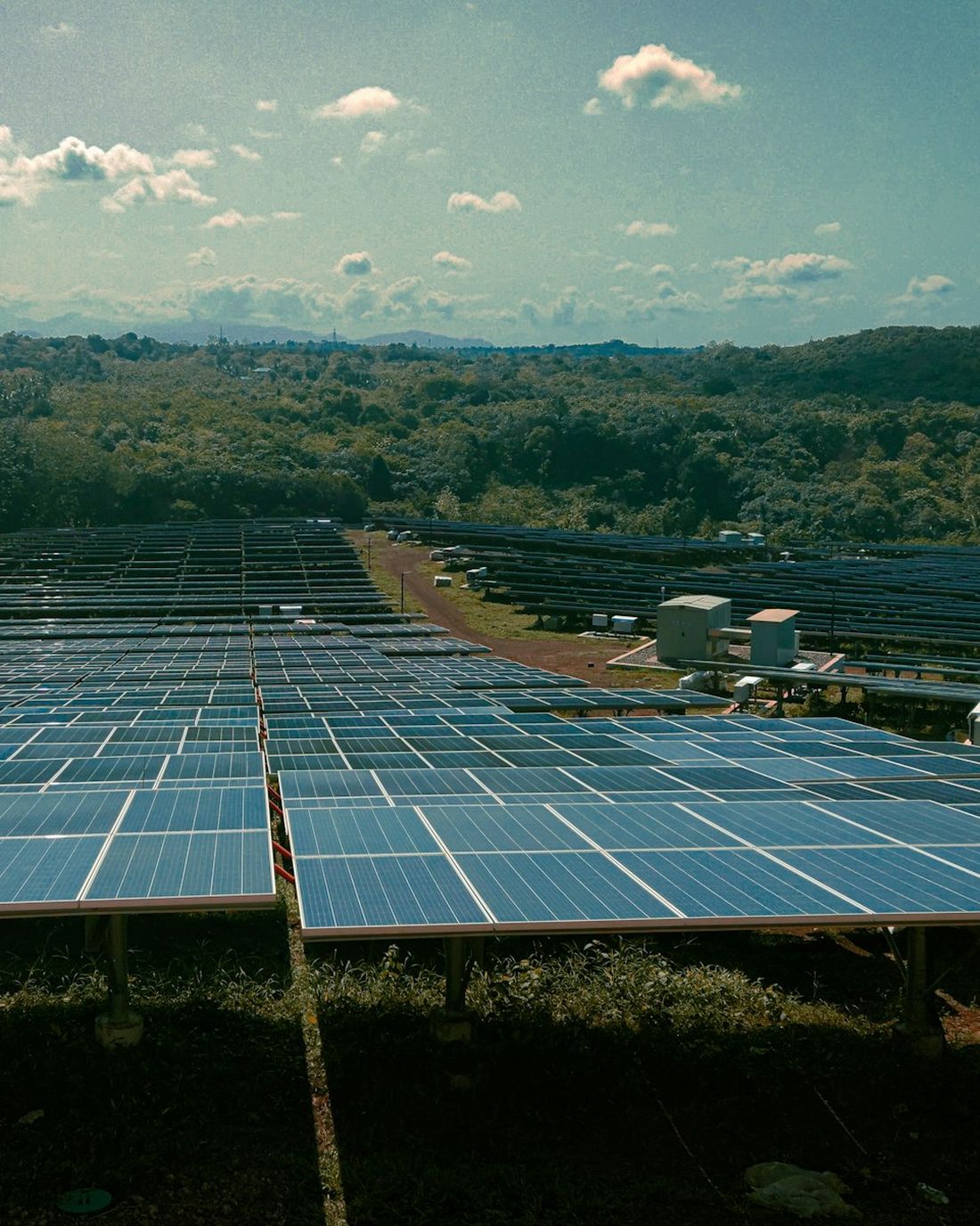 Rows of solar panels in a large solar farm